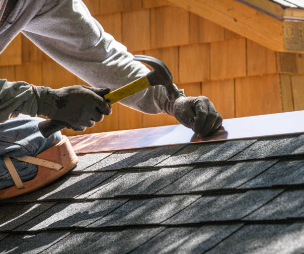 Best Local Roofing Companies  in Wesley Chapel, NC